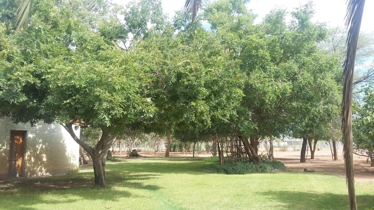 Koha Guesthouse Mariental Exterior photo